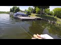 Carp and Bass Fishing Rice Lake Ontario Summertime