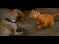 Garfield (2004) - Odie in the house