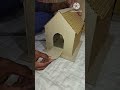 DIY miniature house #6 using cardboard to make simple bird house @awesomecreater