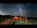 ⭐5 Hours Soothing Piano Music, Calm Music,Stress Relief Music,Meditation