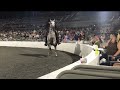 Stop this horse abuse! | Horse_CrZy