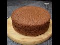 Basic Chocolate Sponge Cake l Best Sponge For Birthday Cake