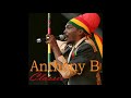 Anthony B   Damage Live at Reggae on the River audio