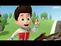 Rubble se lastima la patita | Paw Patrol | Pluto TV