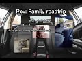 Cat family roadtrip