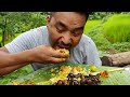 grasshopper, snail, crab, pumpkin curry etc luxury Naga farmers food || kents vlog.