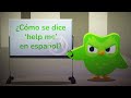 Duolingo: Protect your streak... (Fan Animation)