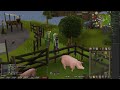 Keeping untrimmed cape - OSRS 99 farming
