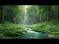 ✾ Overthinking Relief ✾ | Nature Sounds to Calm the Mind