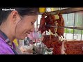 Saigon food || Cao Thủ Bến Tre Chặt Vịt Quay Lia Lịa Nhanh Cái Mấy Ở Vỉa Hè Sài Gòn