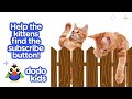 Major The Groundhog Needs Help Finding The Lost Baby Skunks! | Dodo Kids | Wild Rescue House