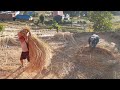 village  everyday work  in nepal