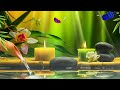 Relaxing Music for Stress Relief, Morning Wake-up Music, Nature Sounds, Beautiful Piano Music, Water