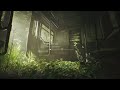 Funeral of the Last Survivor - Post Apocalypse Chill Ambient playlist