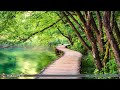 Peaceful Classical Music | Bach, Mozart, Debussy...