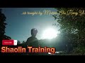 Shaolin Training /Shi Heng Yi