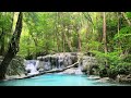 Relaxing Zen Music with Water Sounds • Relax, Sleep, Spa, Yoga, Meditation