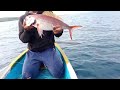 SEMUA NELAYAN BERBURU IKAN KURISI DI SATU SPOT|| auto Full gabus#traditionalfishing #mancingdasaran