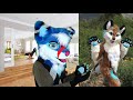 5 Ways to Get a Fursuit Cheap or For FREE