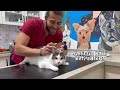 3 Cute Cats Together! ( How to clip cat nails? )