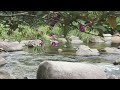 Ambient Peaceful Relaxation Music | Stress Relief, Sleep, Focus, Meditation