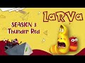 Red Angry - LARVA Season 2 - Funny Animated Cartoon - Special Video by LARVA.