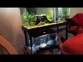 Fish Behind Glass Ep 2- New Formula, same great fish tank taste!