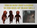 The Silent Hill That Doesn’t Get Enough Credit