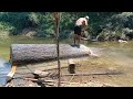 Stihl ms250 chainsaw cut big wood in the river. red meranti#chainsawman#belahkayu#river#woodworking