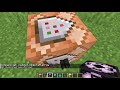 Minecraft how to use a Command Block