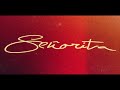 Shawn Mendes -  Señorita (Official Solo Version)