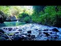 Forest river sounds for sleeping reduce stress white noise healing positive energy
