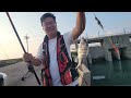 在地老手傳授釣魚必中秘訣，讓你成為釣魚高手  Fishing  台湾の釣り 낚시 câucá Taiwan Fishing