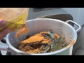 How to Steam Blue Crabs Maryland Style