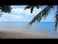 Enjoy the Beautiful View of a Secluded Beach on Koh Phangan 🌴 Relax with ASMR in 4K