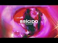 BRÍGIDO | DEI V x CRIS MJ Type Beat 2024 | Instrumental Reggaeton