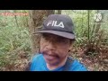 serangan semut ke atas Tupai//menjebak tupai di hutan Sibu Sarawak.ep.39.