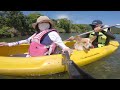 マングローブを行くコーギー/カヌー体験 犬連れ旅in奄美大島⑧ Trip to AMAMI-Island, Kagoshima with corgi【コーギー犬モナ090】