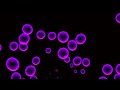 Colorful neon purple bubbles background | 4k Abstract loop