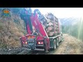 100 Incredible Fastest Big Forestry Chainsaw Machines For Cutting Trees