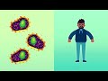 How The Immune System ACTUALLY Works – IMMUNE