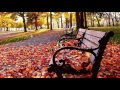 Autumn Leaves - Pam and Vinny - 11/2015
