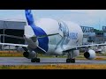 50 min AIRBUS BELUGA XL - Landing and Takeoff at XFW Hamburg Airport - 4K
