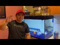 5-Steps to Achieve Crystal Clear Water for your Aquarium Tank