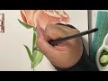 Watercolor Realistic Rose Step-by-Step Painting Tutorial