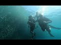 Rola's first SCUBA dive- Bohol, Philippines with me - HIGHLIGHTS