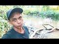 MANCING DI SPOT BAWAH BAMBU ADA KUBANGAN TEPI SUNGAI - MANCING IKAN LIAR BABON CANTIK