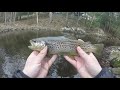 Early Season Trout on the Fly: Southern Connecticut