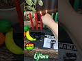 Kwanzaa 2021 Day 3: Ujima (collective work and responsibility)