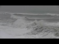 Surfing near Brant Rock, MA | Jan. 19, 2010